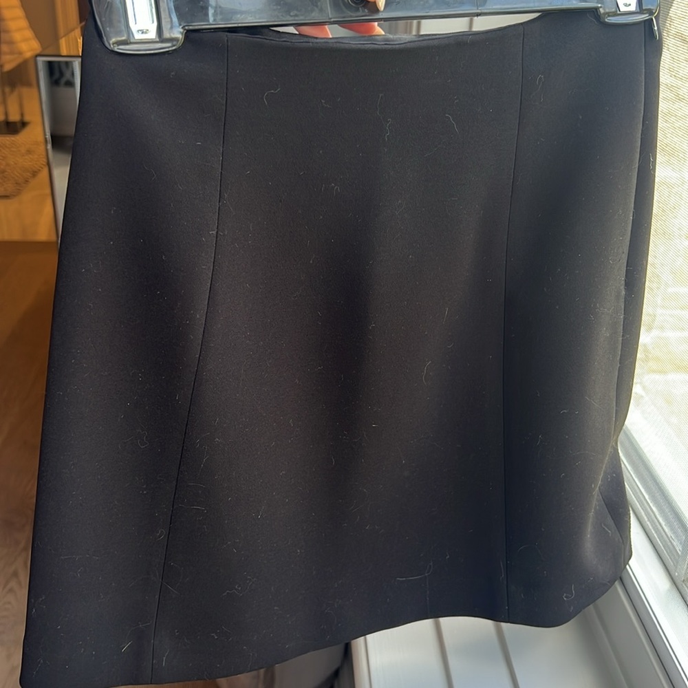 Babaton Black Skirt